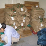 201704 shipping1.jpg